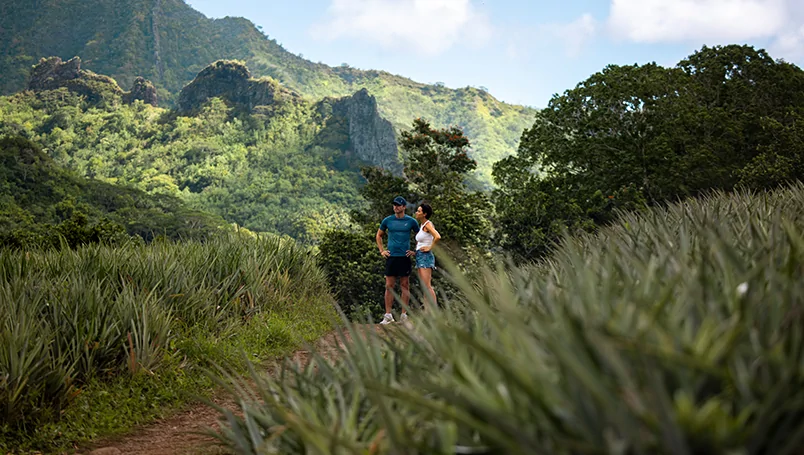 PG Tahiti & Society Islands