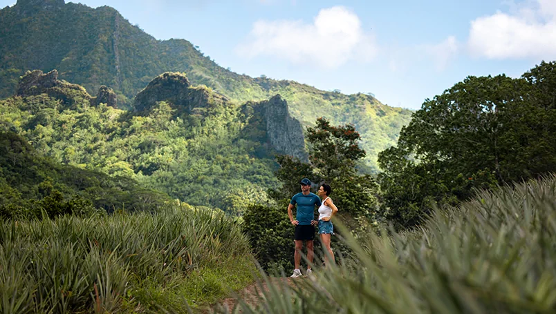 PG Cook & Society Islands