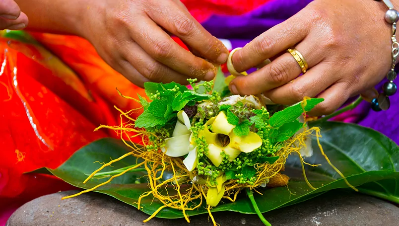 Discover The Marquesas Special inclusions