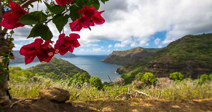 base (10) 854x455.jpg