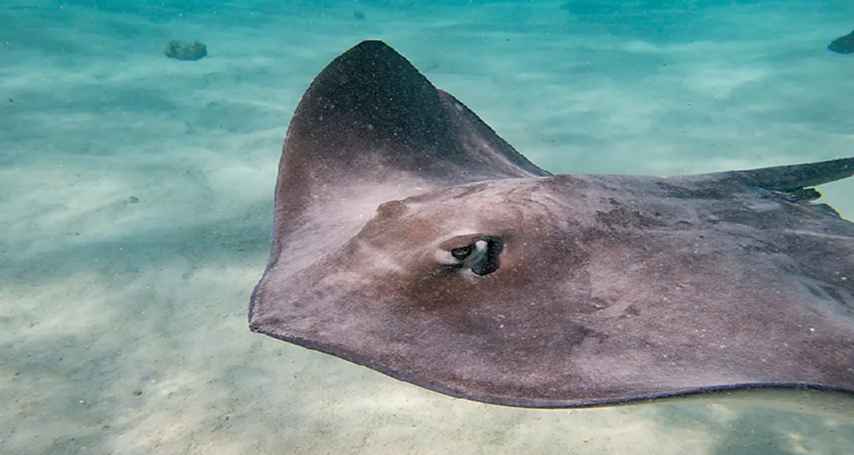 base (12) 854x455.jpg