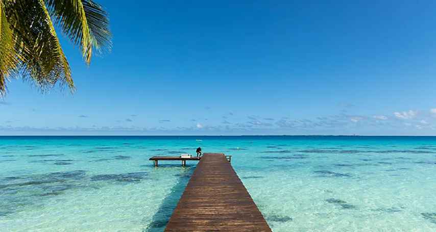 base (15) 854x455.jpg