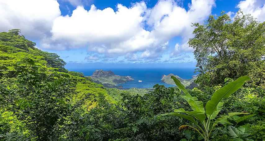 base (18) 854x455.jpg