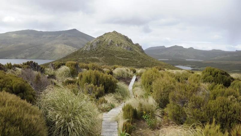 Ponant Subantarctic